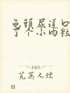 龟头尿道口上长了个小肉粒封面