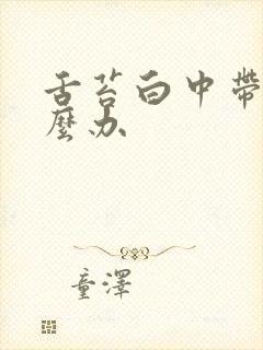 舌苔白中带黄怎么办