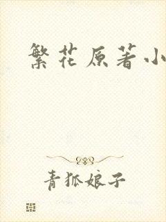 繁花原著小说