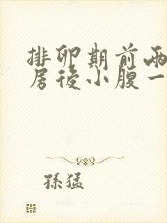 排卵期前两天同房后小腹一直隐隐作痛封面