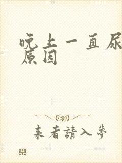 晚上一直尿频啥原因封面