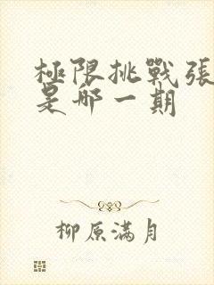 极限挑战张艺凡是哪一期