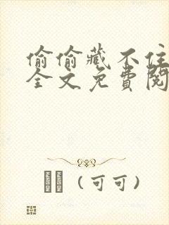 偷偷藏不住小说全文免费阅读番外