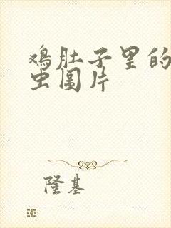 鸡肚子里的寄生虫图片封面