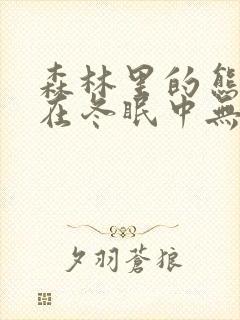 森林里的熊先生在冬眠中无光