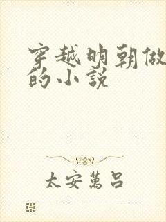 穿越明朝做皇帝的小说