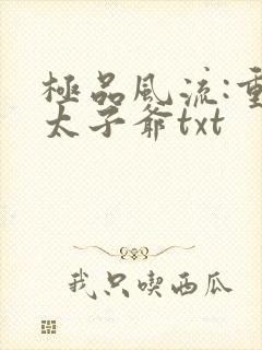 极品风流:重生太子爷txt封面
