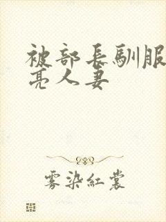 被部长驯服的漂亮人妻