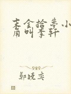 末金拾梦小说主角叫李轩