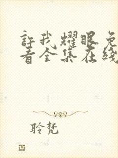 许我耀眼免费观看全集在线播放高清