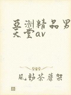 亚洲精品男人的天堂av
