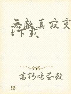 无敌真寂寞txt下载