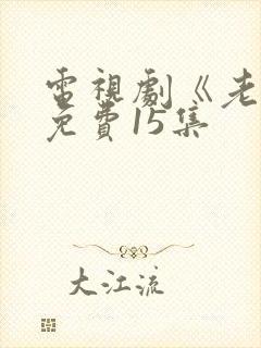 电视剧《老舅》免费15集