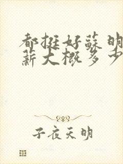 都挺好苏明玉年薪大概多少