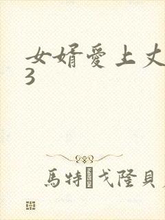女婿爱上丈母娘3