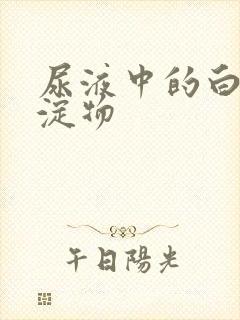 尿液中的白色沉淀物