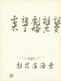 电视剧谁说我结不了婚免费观看封面