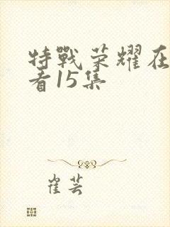 特战荣耀在线观看15集