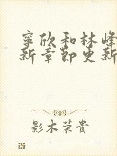 宁欣和林峰的最新章节更新时间封面