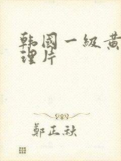 韩国一级黄色伦理片