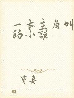 一本主角叫林洛的小说