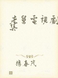 老舅电视剧27集