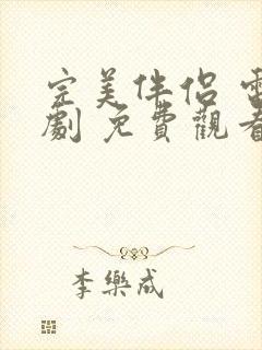 完美伴侣 电视剧 免费观看