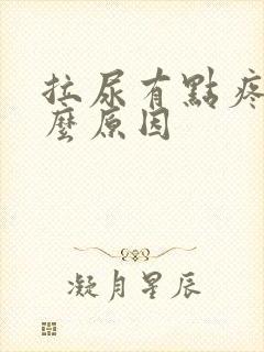 拉尿有点疼是什么原因