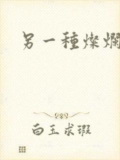 另一种灿烂生活封面