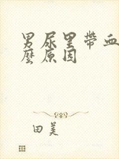 男尿里带血是什么原因