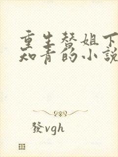 重生替姐下乡当知青的小说