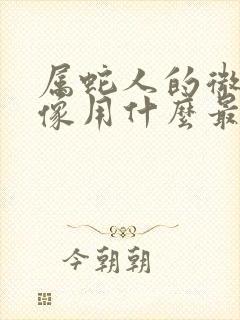 属蛇人的微信头像用什么最好