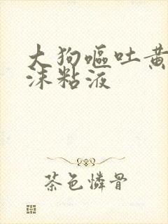 大狗呕吐黄水泡沫粘液封面