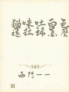 猫咪吐白色粘液还拉稀怎么办