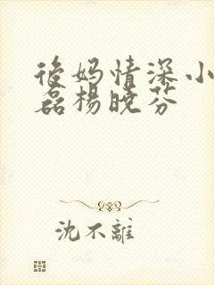 后妈情深小说王磊杨晓芬