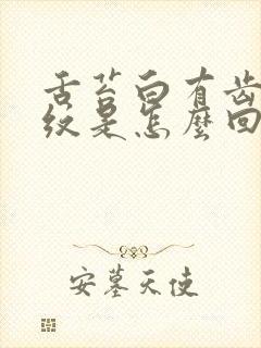 舌苔白有齿痕裂纹是怎么回事