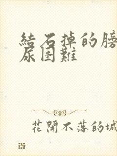 结石掉的膀胱排尿困难