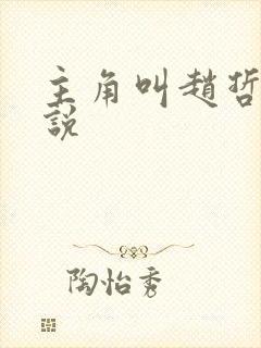 主角叫赵哲的小说