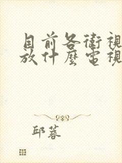 目前各卫视台播放什么电视剧