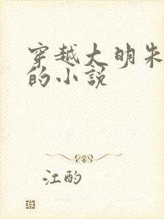 穿越大明朱高煦的小说