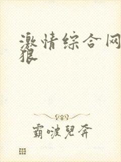 激情综合网,狠狠