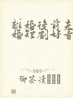 离婚后前夫求复婚短剧好看的封面