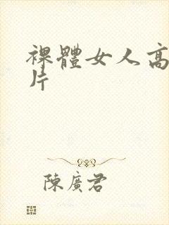 裸体女人高清毛片