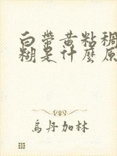 白带黄粘稠像浆糊是什么原因