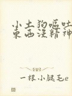 小土狗呕吐不吃东西没精神怎么办