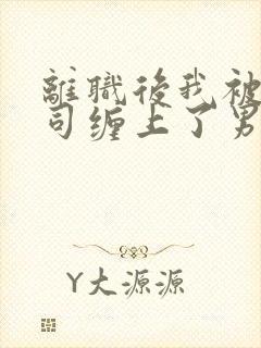 离职后我被前上司缠上了男主