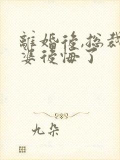 离婚后,总裁老婆后悔了封面