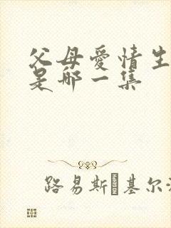 父母爱情生孩子是哪一集封面