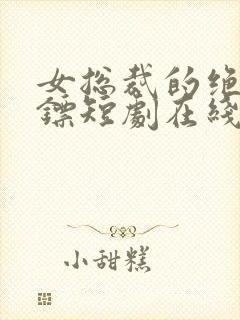 女总裁的绝世保镖短剧在线观看