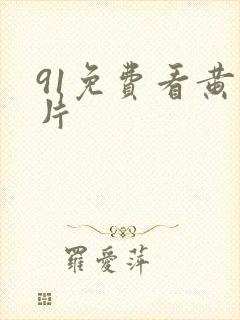 91免费看黄色片